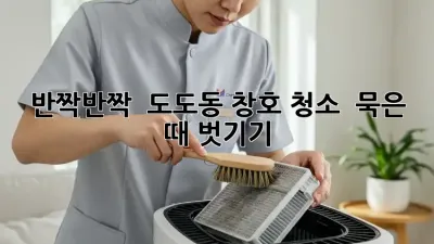 ✨ 반짝반짝 ✨ 도도동 창호 청소, ✨ 묵은 때 벗기기! ✨