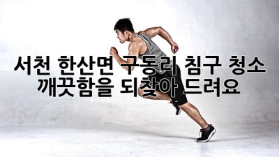 서천 한산면 구동리 침구 청소, 깨끗함을 되찾아 드려요!